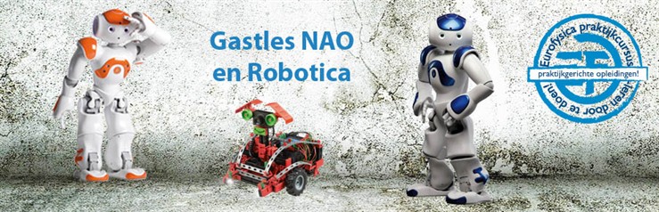 Gastles NAO en Robotica heading